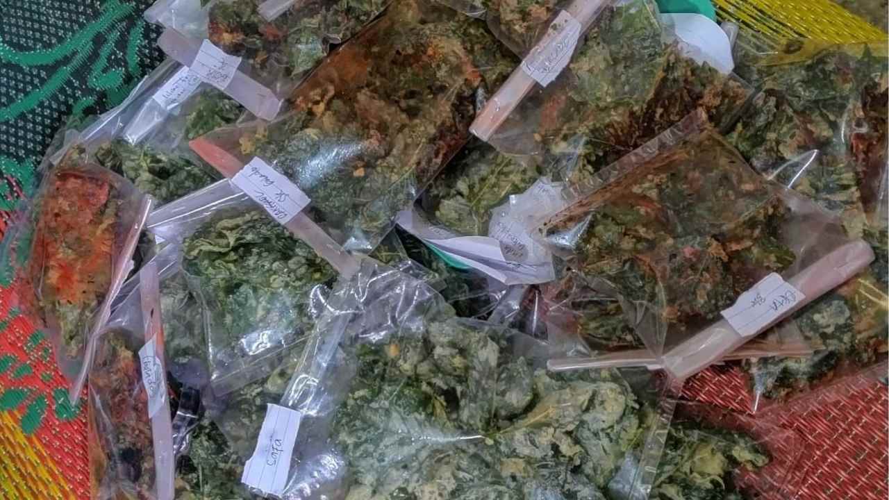 Keripik Bayam Inovasi Cemilan Sehat yang Menjajikan Pasar Luas