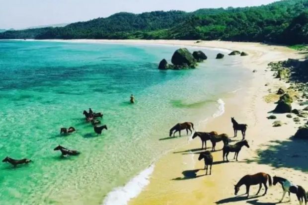 Aktivitas Seru di Pantai Nihiwatu Sumba