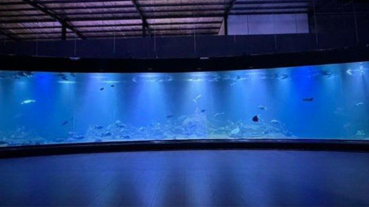 Aquarium Indonesia Pangandaran Wahana Edukasi Bikin Liburan Makin Seru