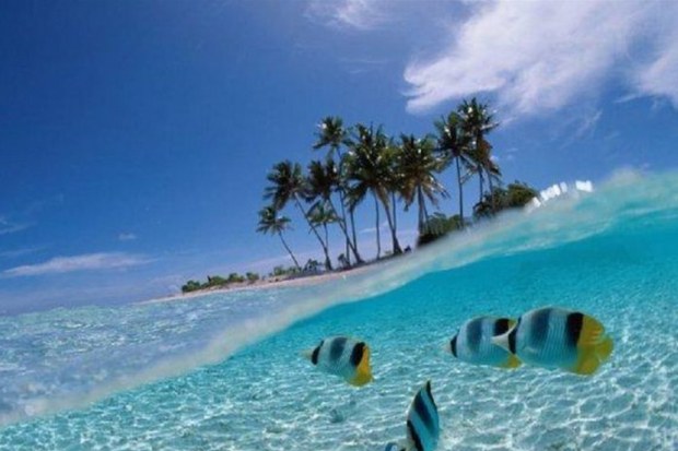 Keanekaragaman Hayati di Taman Nasional Bunaken