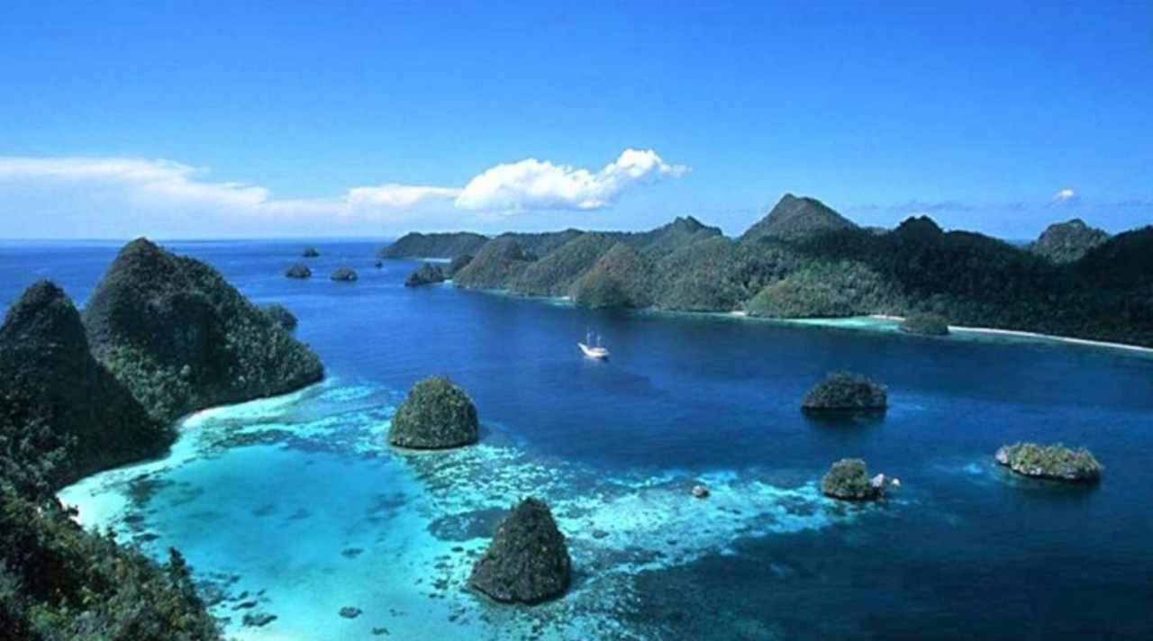 Keindahan Bawah Laut Taman Nasional Bunaken