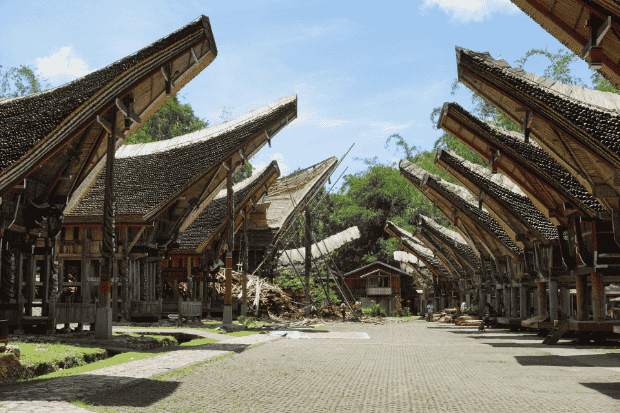 Rumah Adat Tongkonan sebagai Destinasi Wisata Unik