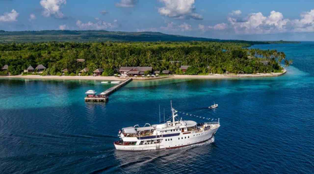 Wakatobi, Surga Menyelam dan Terumbu Karang Terindah di Indonesia