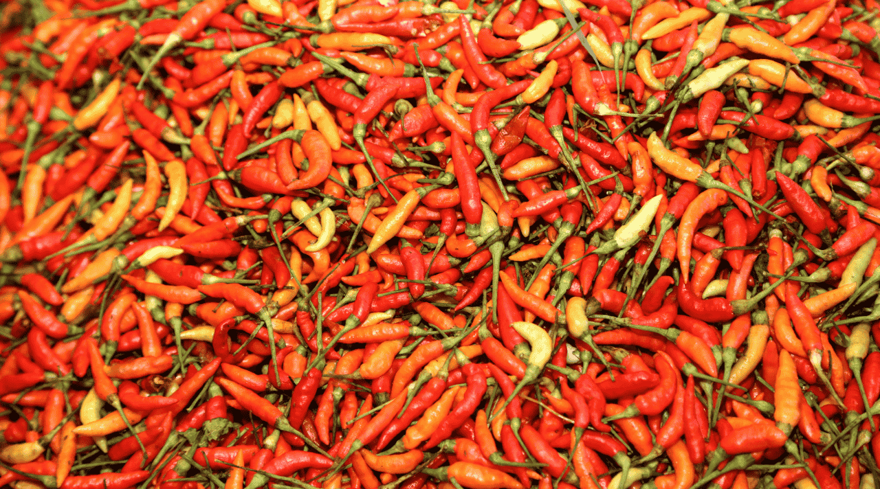 Bisnis Cabe Rawit Peluang Menggiurkan di Pasar Lokal