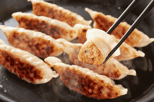 Bahan dan Persiapan Gyoza Ayam

