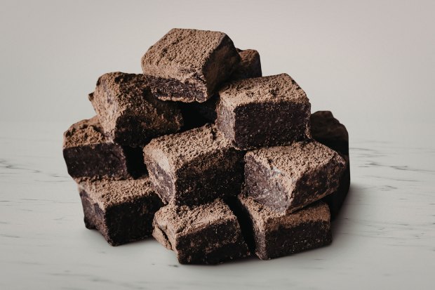 Cara Membuat Iced Fudgy Brownies
