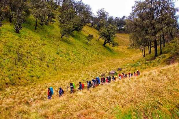 Jalur Pendakian Menuju Sabana Bulak Peperangan