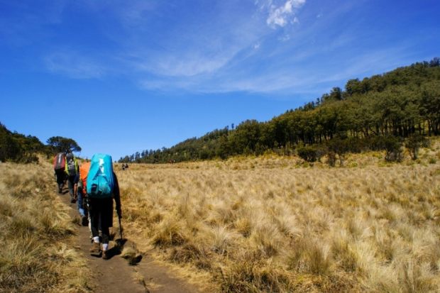 Keindahan Sabana Bulak Peperangan