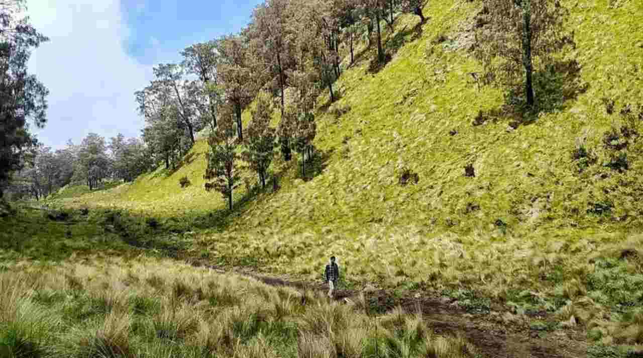 Sabana Bulak Peperangan, Surga Tersembunyi di Gunung Lawu