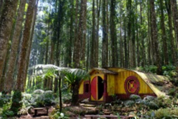 Spot Foto Instagramable di Kampung Kurcaci