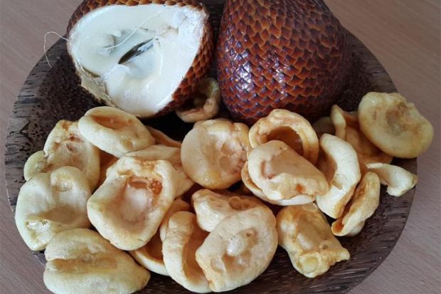 Keripik salak khas daerah