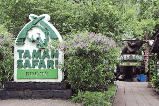 Safari Siang dengan Kendaraan