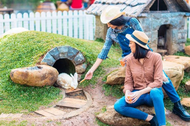 Spot Foto Instagramable di Cimory Dairyland Puncak