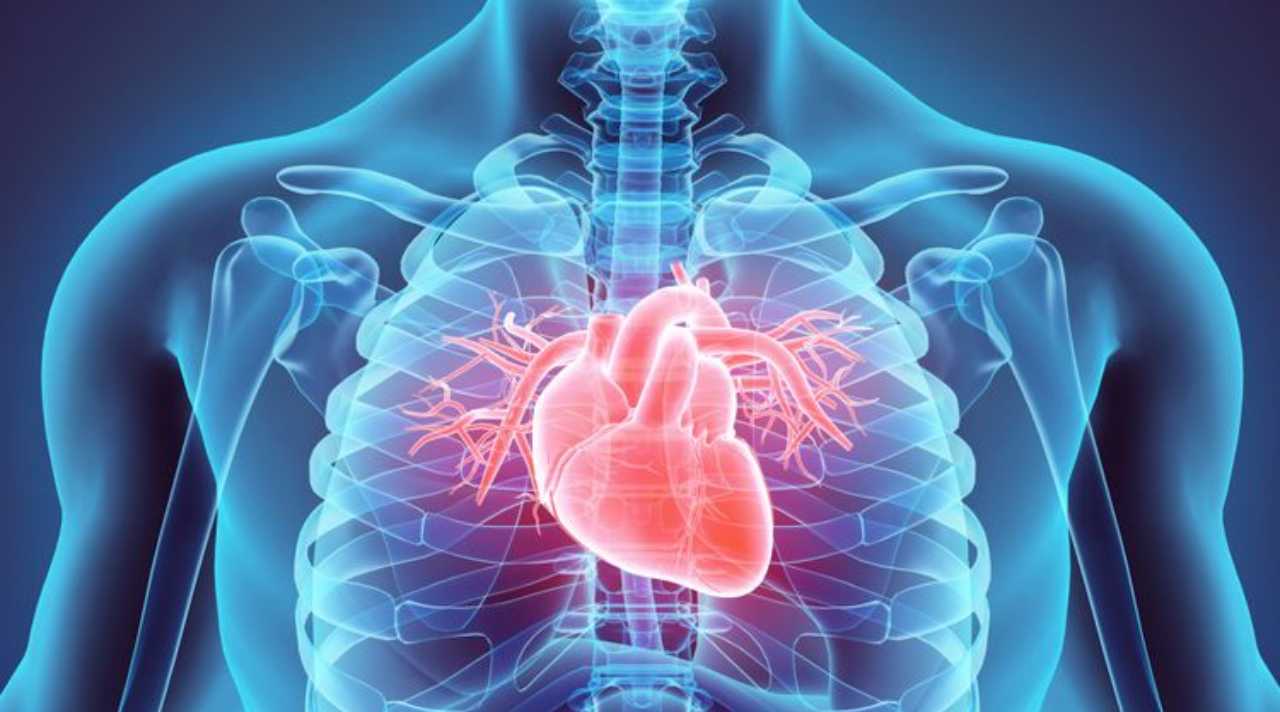 Bagian Tubuh Manusia yang Aktif Sejak Awal Kehidupan