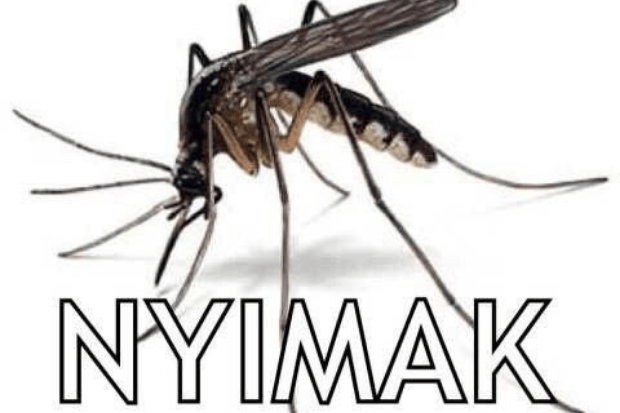 Cara Negosiasi Damai Dengan Nyamuk Supaya Malam Tenang Tanpa Drama