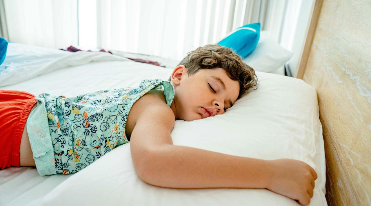 Tidur Siang Itu Bukan Malas Tapi Strategi Bertahan Hidup