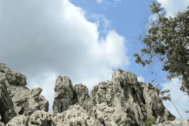 Fakta unik dari Karang Gemantung