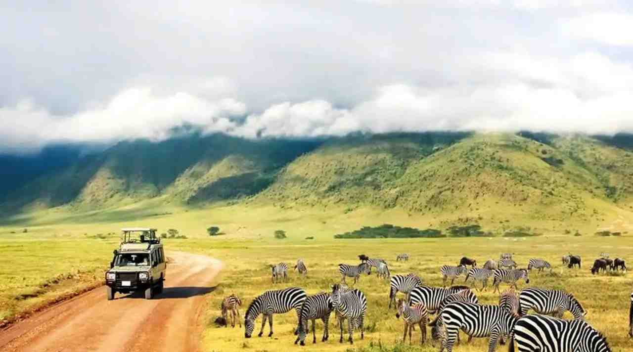 Menyaksikan Keajaiban Alam Dunia di Taman Nasional Serengeti Tanzania
