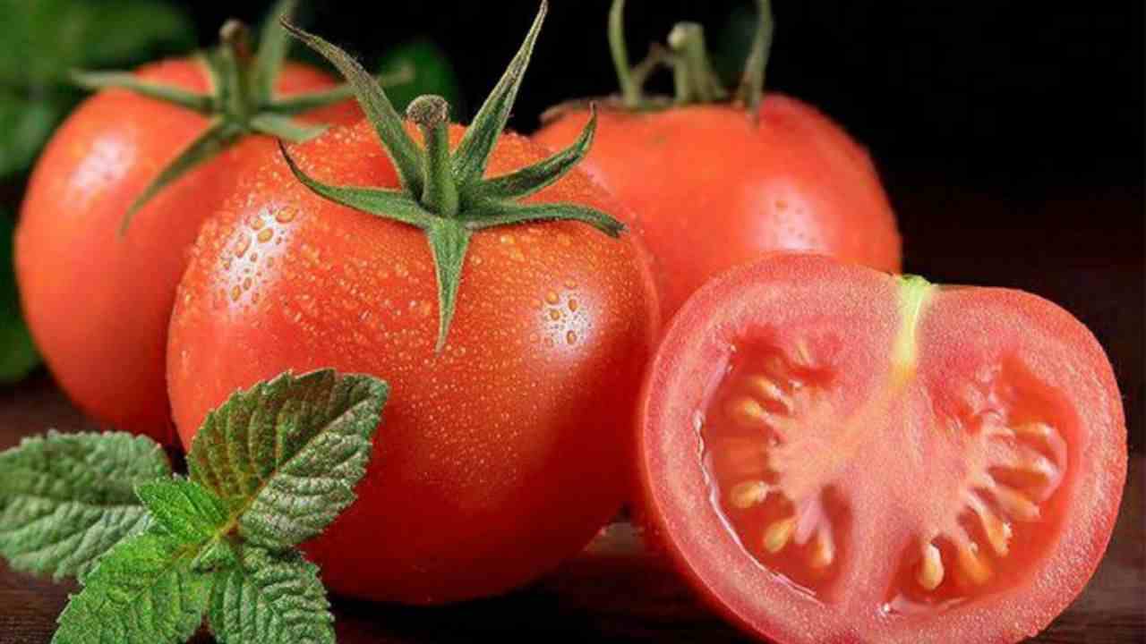 Manfaat Buah tomat untuk kesehatan tubuh yang harus kita tahu.