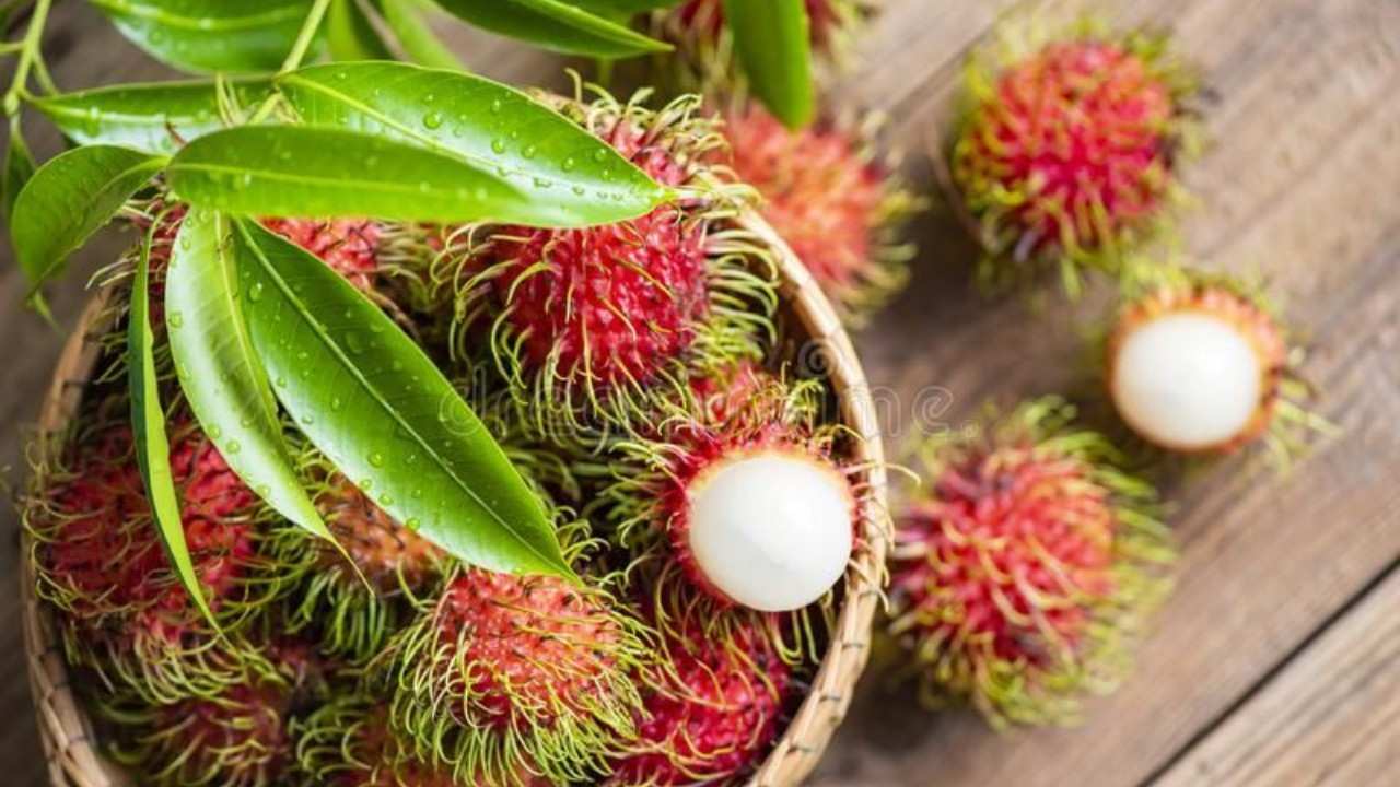 Buah Rambutan yang Segar dan Manis