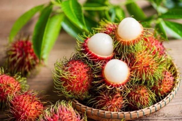 Ciri Khas Buah Rambutan